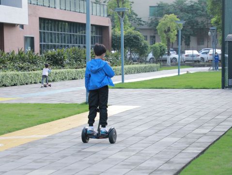 监护人和抚养权