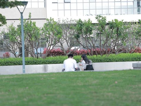 夫妻家庭暴力如何处置效果最好