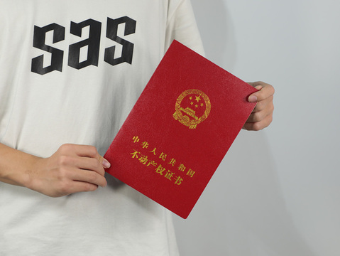 继承人继承