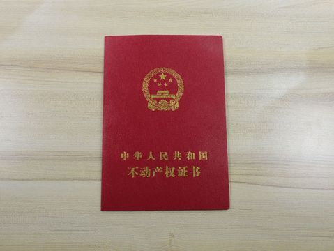 知识产权收益