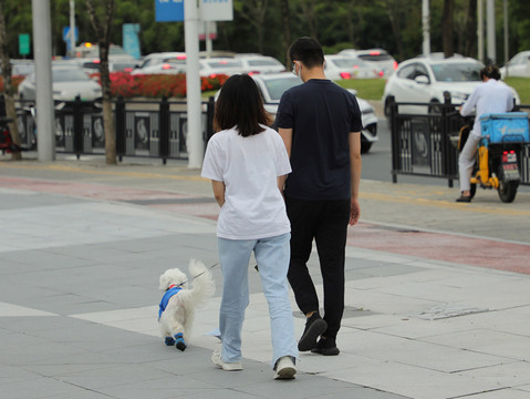 长期投喂流浪狗的人是该流浪狗的管理人吗