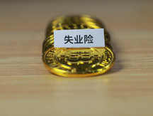 失业保险比例交多少