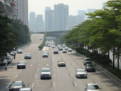 车辆压实线