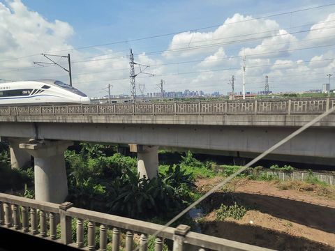 高速公路上倒车事故