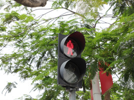 红灯停在人行道扣分吗