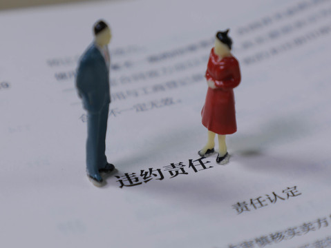 违约定金不退