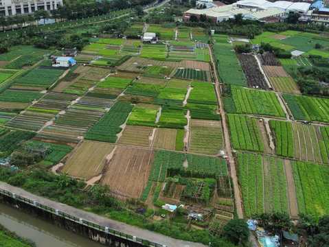 集体土地流转法定程序