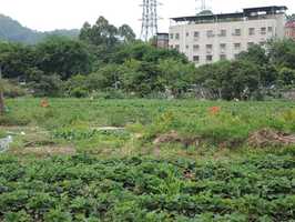 农村土地确权找哪个部门