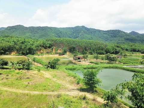 土地承包纠纷