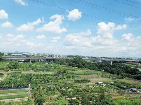 结婚后城市户口怎样迁往农村