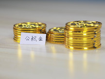 公积金里的个人信息不对怎么更改