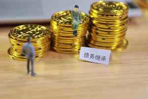 什么是流动性债务融资