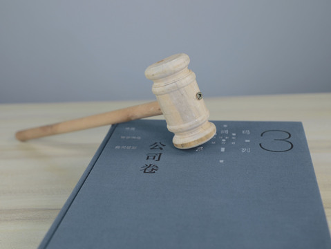 公司法中董监高指哪些人