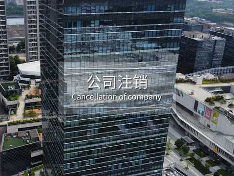 分公司成立标准