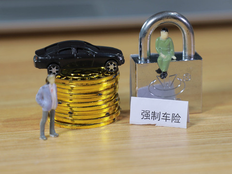 故意划车罪