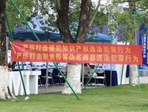我国知识产权犯罪司法解释是什么