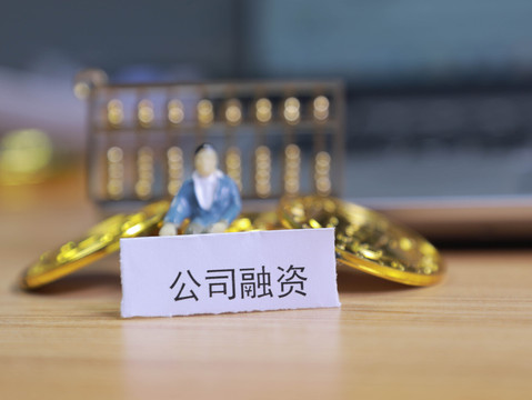 直接诉讼与间接诉讼