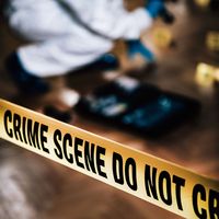 故意杀人罪辩护书模板