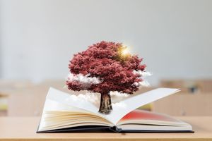 教师节是宪法规定的吗