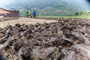 霸占他人土地怎么举报