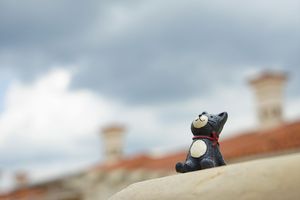 打死一只野猪会判刑吗