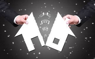 非婚同居是否可以分割财产