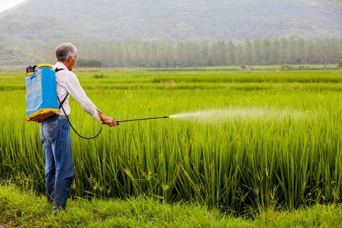 农民工欠薪