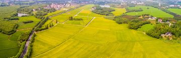 农村集体土地可以变更国有土地吗