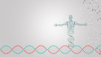 2022年首要分子是一人吗