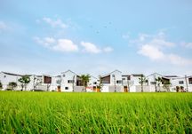 新农村建设政策什么时候开始