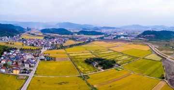 城市户口可以迁至农村吗