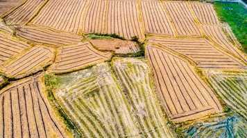 农村废弃地可以干什么用
