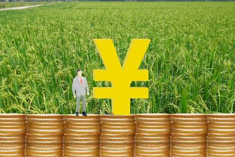 土地闲置费征收机关是哪个