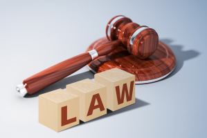 刑事诉讼法属于什么类型的法律
