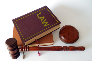 信托法律关系诉讼中的信托法律关系指的是什么？