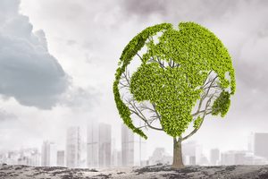 偷砍他人树木犯法吗