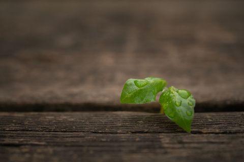 遗产范围