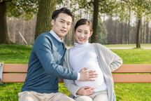 2022生育险可以报销多少呢