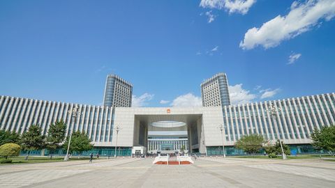 阻碍执行职务