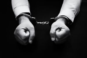 入境发展黑社会组织罪量刑
