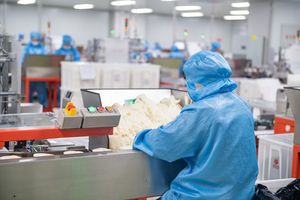 食品小作坊生产许可证办理有什么要求吗