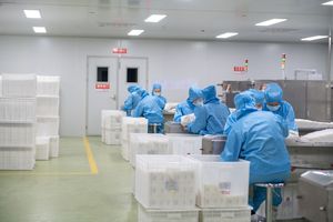 产品没有效果怎么办
