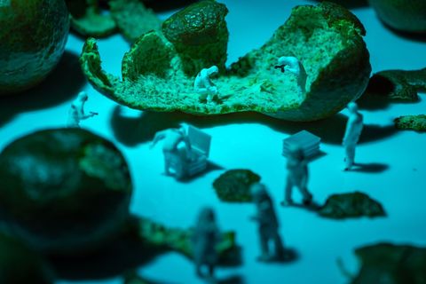网络食品谣言为何屡禁不止？该如何治理网络食品谣言？