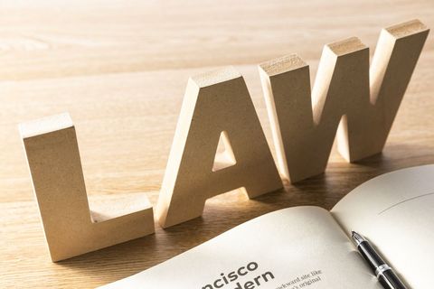 违反公司法的主要法律责任有哪些行为