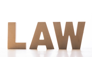 法律法规可作行政诉讼的证据吗