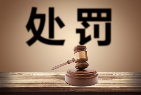 因妨害公务被刑事拘留