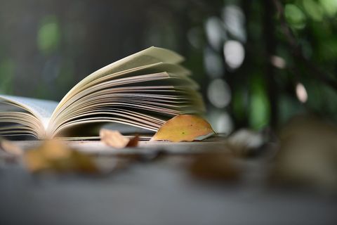 询问专利进度的意见陈述书如何写