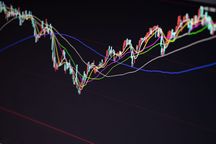 证券评估机构可以设立分公司吗