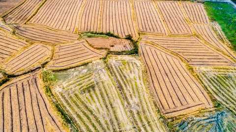 空地宅基地有赔偿吗