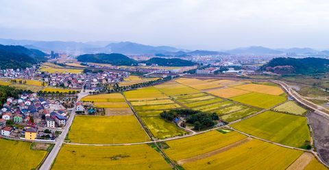 乡村公路加宽补偿标准